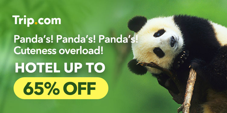 Singapore Promotion 4
